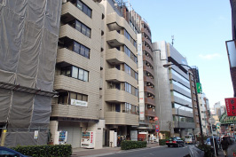 Head Office